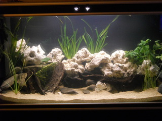 DSCN1900-1.jpg