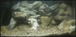 AQUARIUM.jpg