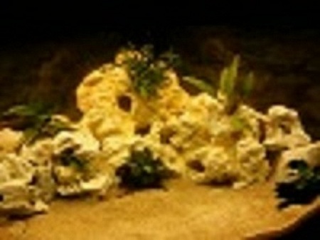 Photo-0009.jpg