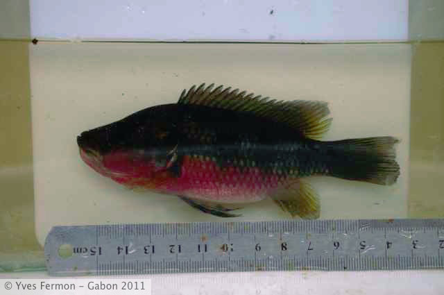 YF__1494.jpg