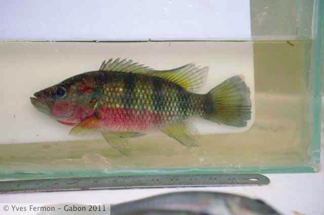 YF__1461.jpg