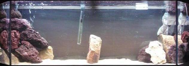 mon aqua encore un peux en construction sa fais 3 semaine qu il est sous eau et jattend toujour la fin du cycle lol