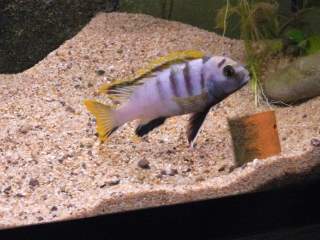 P1080053-1.JPG
