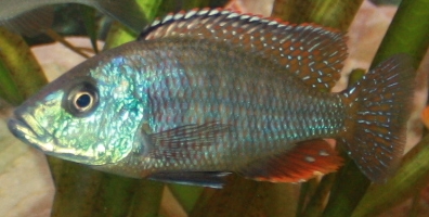03.JPG
