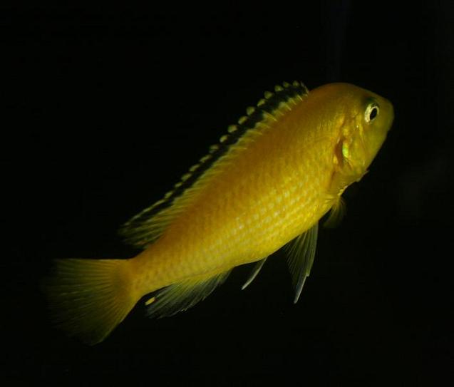 05.JPG