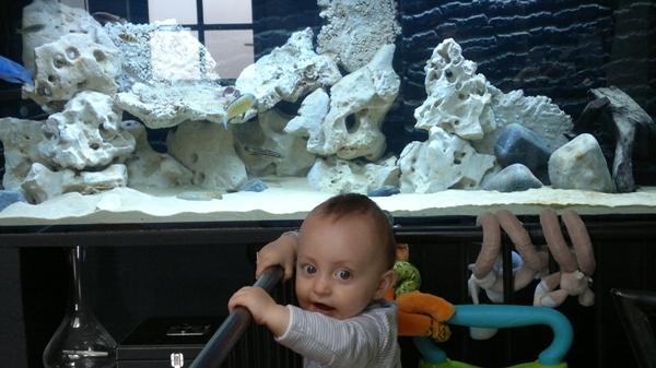 090620121026.JPG