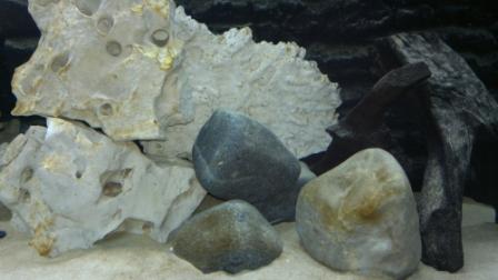 120620121029.JPG