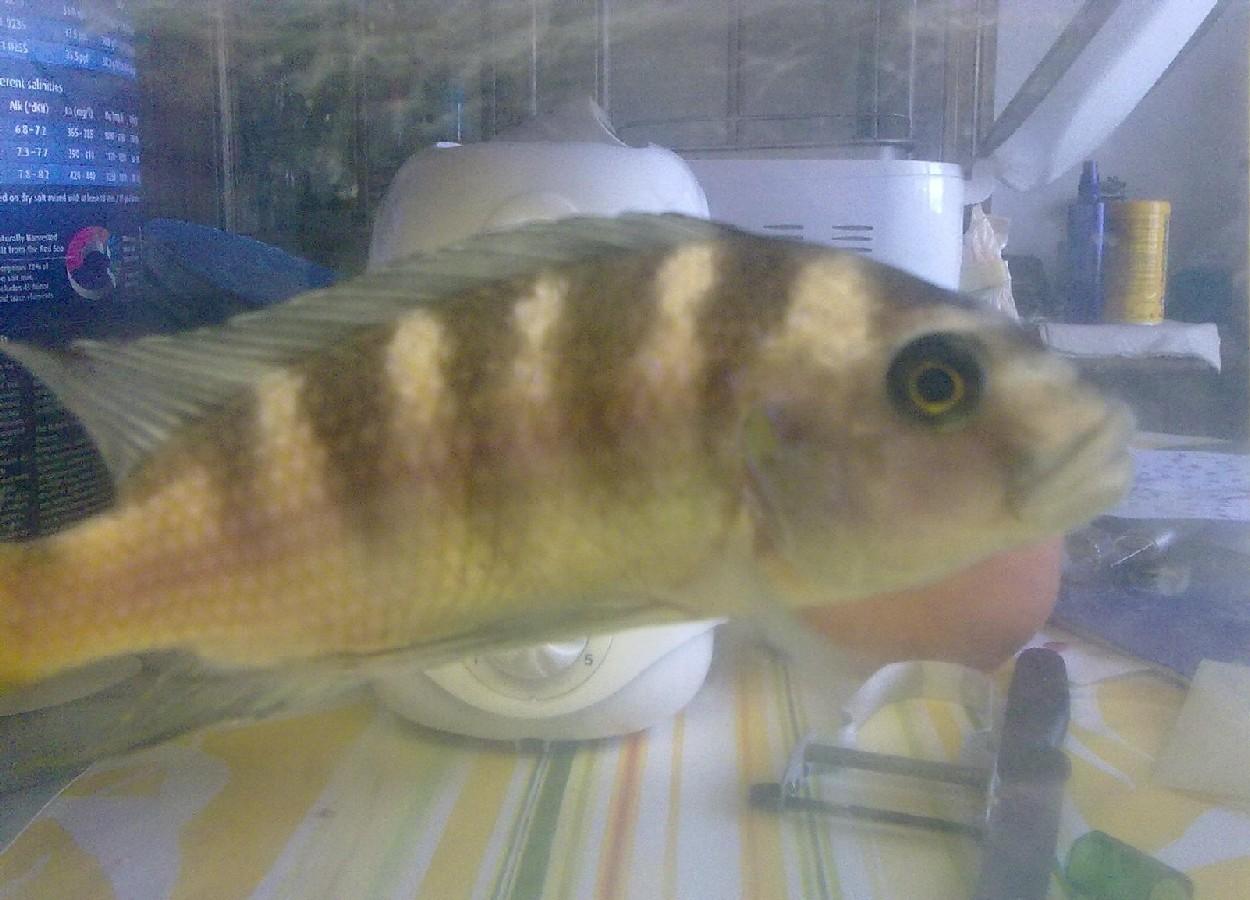 Copie de 16062012300.jpg