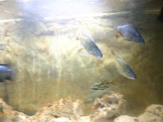 IMG_6623.JPG