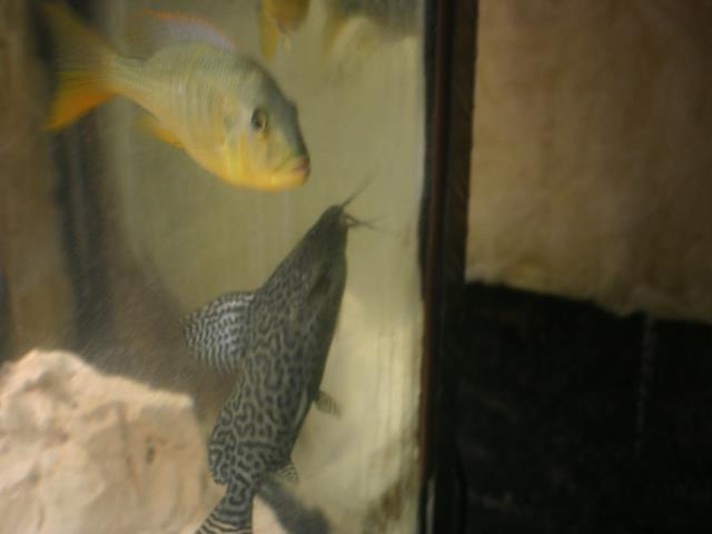 IMG_6636.JPG