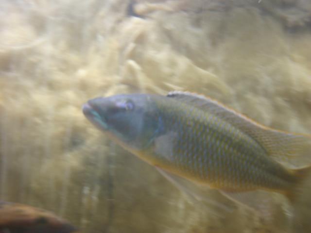 IMG_6630.JPG