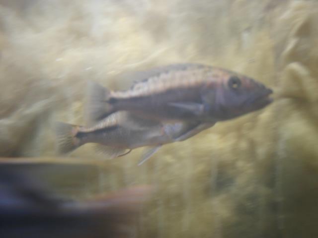 IMG_6633.JPG