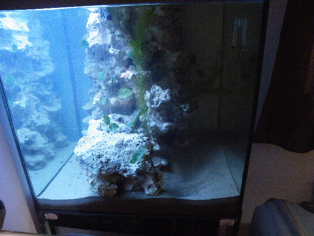 DSCF1867.JPG