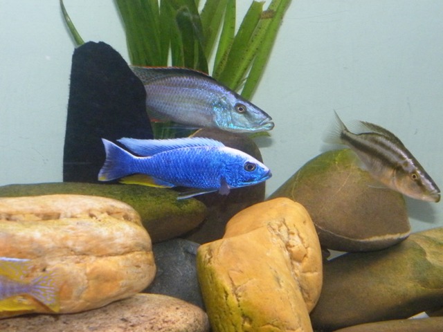 DSCF8429.JPG