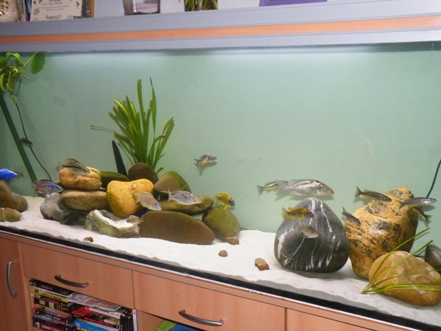 DSCF8419.JPG