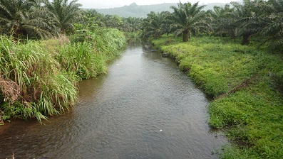 riviere moliwe où nous avions trouvé aucuns poissons (pollution??)