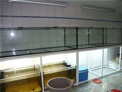 PICT1219.JPG