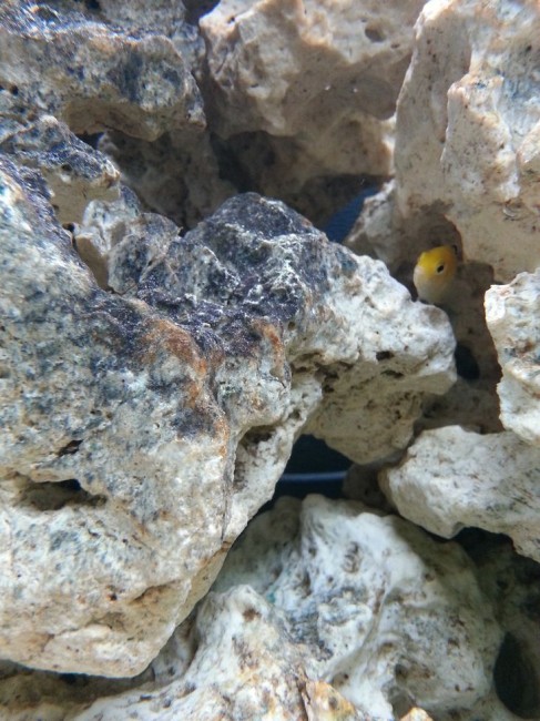 20121125_132713_1.jpg