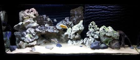 20121209_161515.jpg