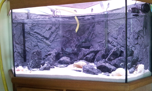 20121211_115406.jpg