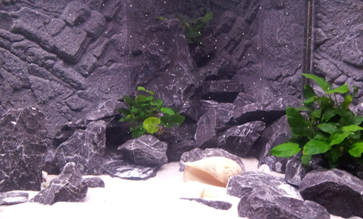 20121211_181322.jpg