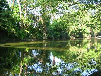 rio Bascan cf.jpg