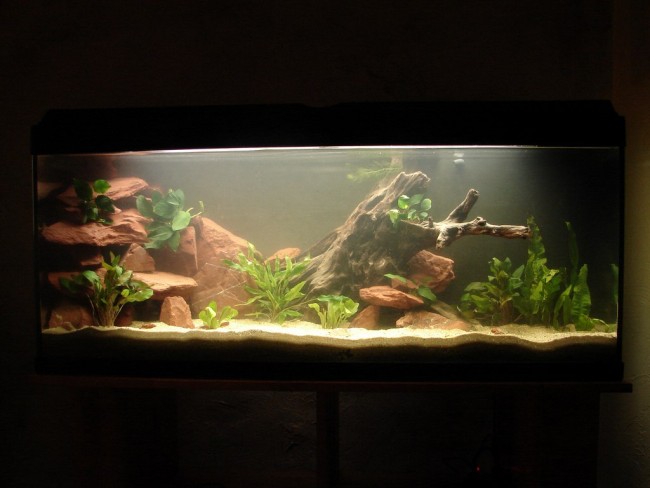 DSC06059 (Copier).JPG