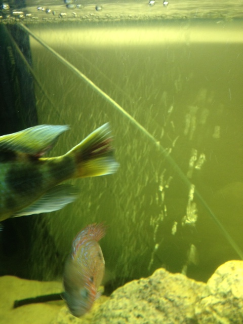 photo (11).JPG