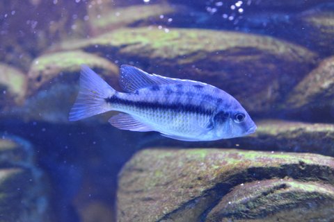 DSC_3512.JPG