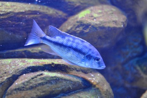 DSC_3515.JPG