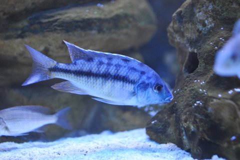 DSC_3521.JPG