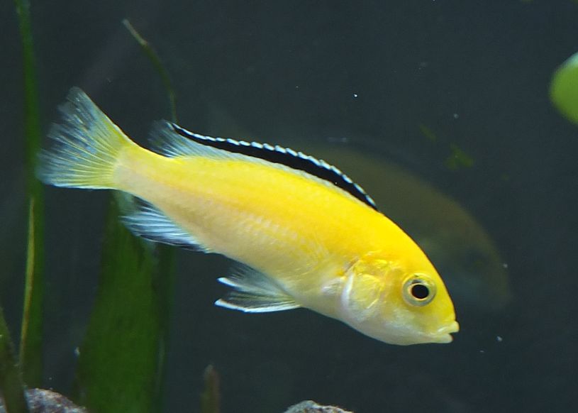 DSCF6570_2.jpg