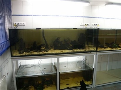 PICT1255.JPG