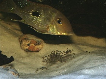 PICT1399.JPG