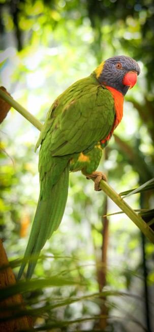 IMG_6530.jpg