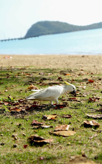 IMG_5640r.jpg