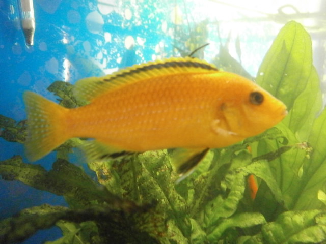 PC170014.JPG