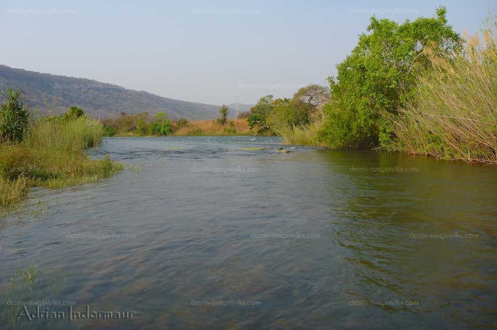 La rivière Lufubu (Zambie).