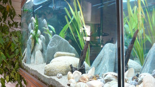 aquamodif2.JPG