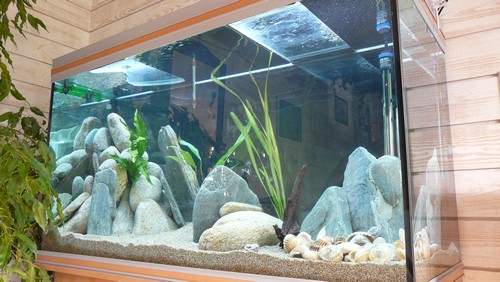 aquamodif 1.jpg