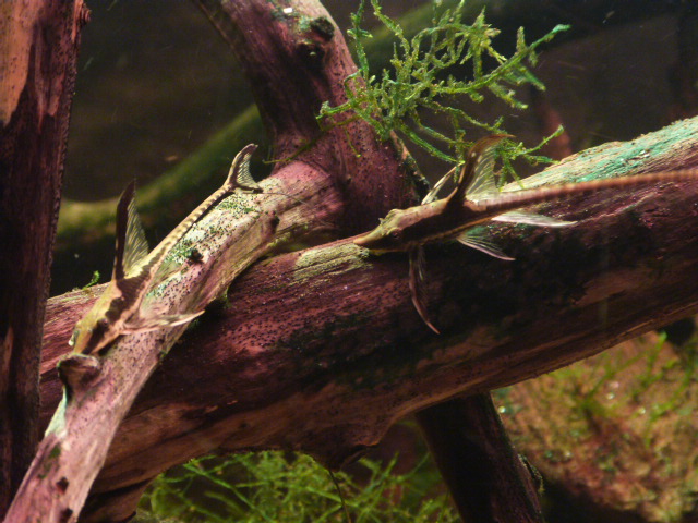 P1050060.JPG