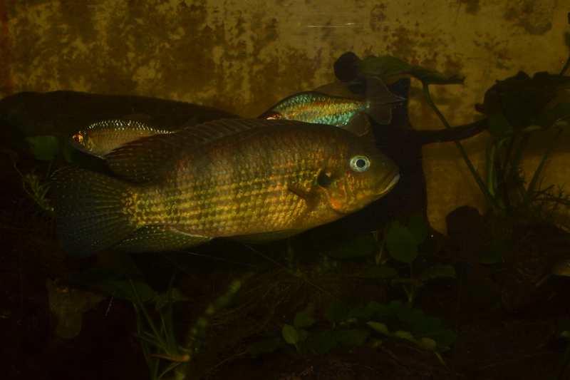 p1.jpg