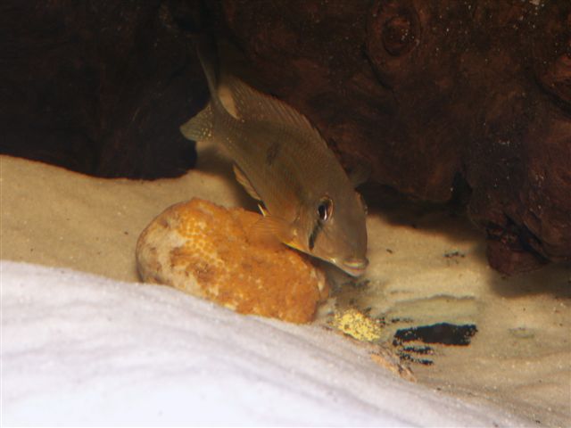 PICT1501.JPG