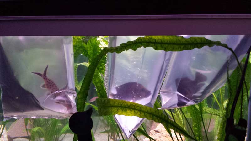 20141224_163304web.jpg