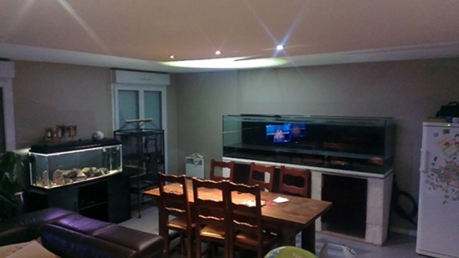 aquarium tanganyika 1000 litres