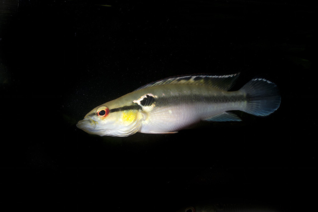 DSC_0950.jpg