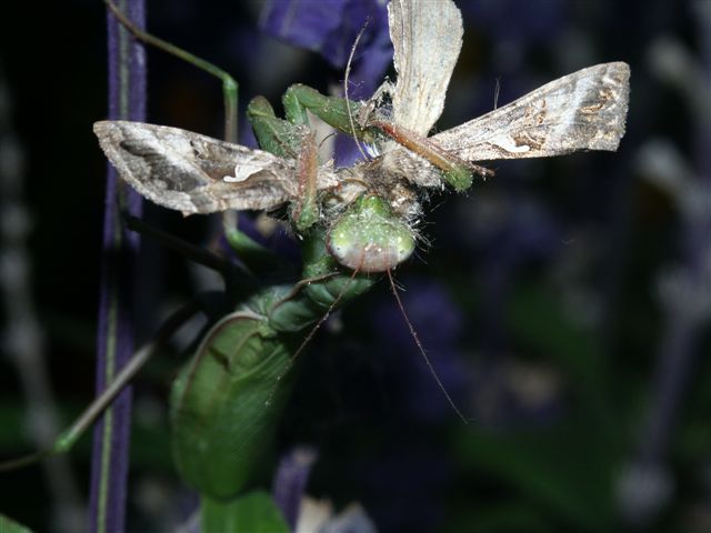 PICT2125.JPG