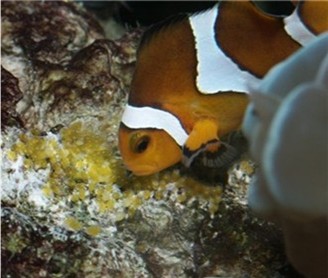 PICT2143.JPG