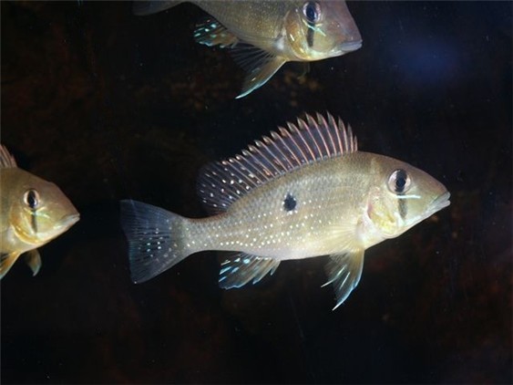 PICT2155.JPG